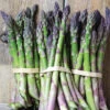 Jersey Knight Hybrid Asparagus