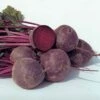 Boro Hybrid Beet