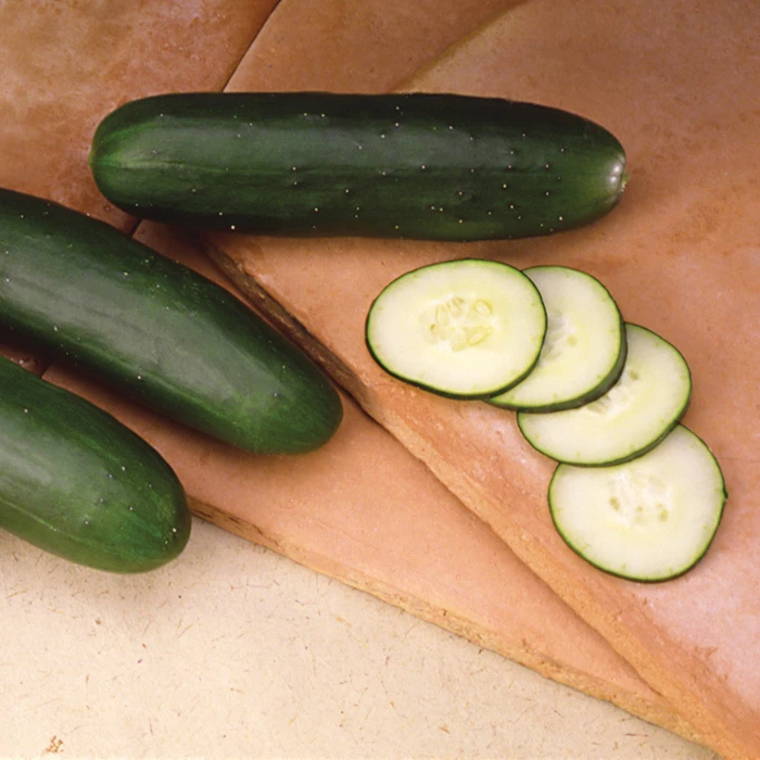 Slice More Hybrid Cucumber 1 Slice More Hybrid Cucumber