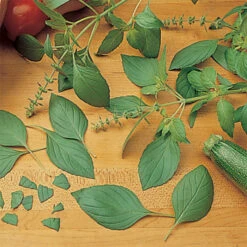 Basil Sweet Dani Lemon