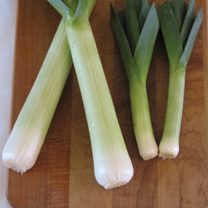 Lincoln Leek 1 Lincoln Leek