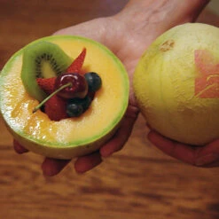 Tasty Bites Hybrid Muskmelon