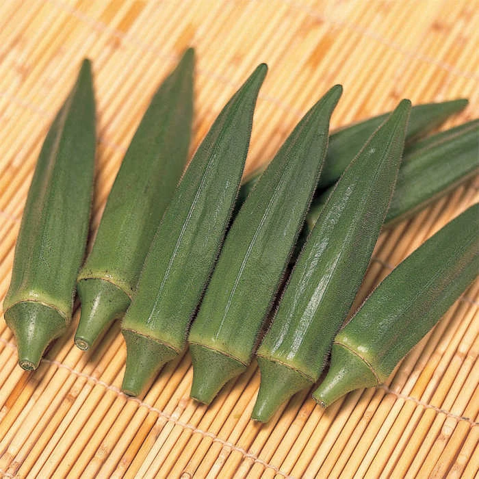 Jambalaya Hybrid Okra 1 Jambalaya Hybrid Okra