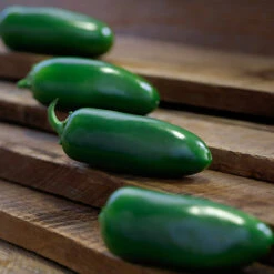 Early Flame Hybrid Pepper