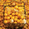 Aunt Molly's Organic Ground Cherry