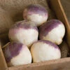 Helenor Organic Rutabaga