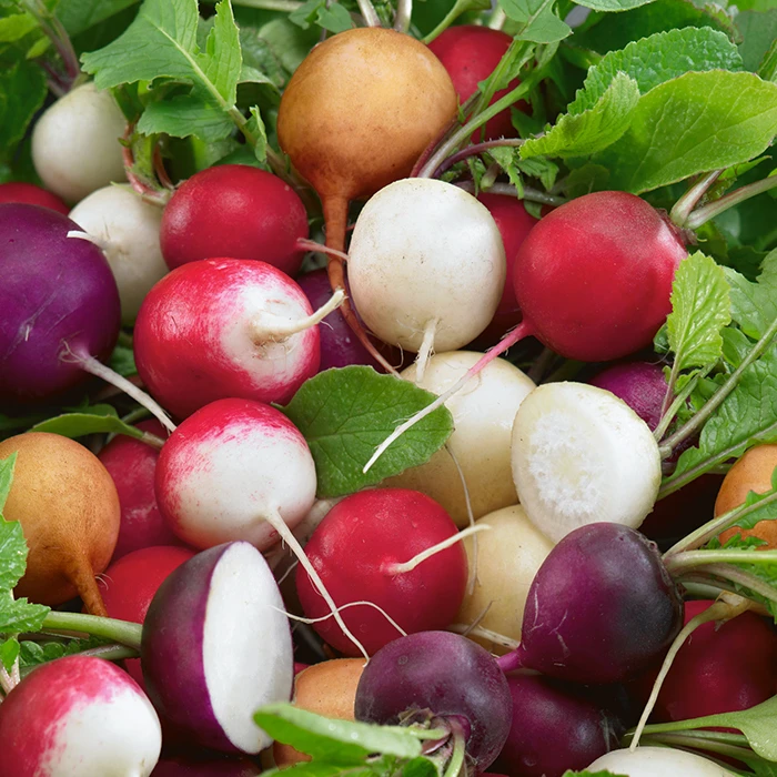 Cheap Floriaze Store -Cheap Floriaze Store 1